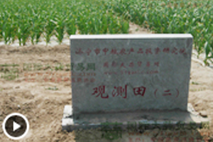 大蒜觀測(cè)田苗情長(zhǎng)勢(shì)監(jiān)測(cè)—3月17日 (1703播放)