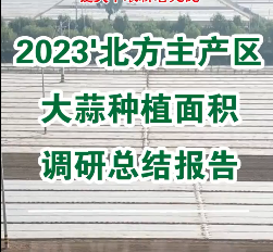 【即將發(fā)布】2023'北方主產(chǎn)區(qū)大蒜種植面積調(diào)研總結報告 ()