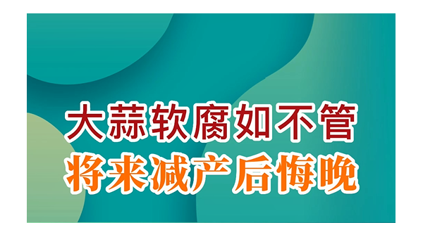 大蒜軟腐如不管，將來減產(chǎn)后悔晚 (730播放)