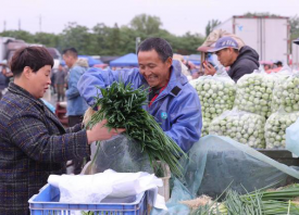 新發(fā)地市場：蔬菜供應(yīng)量足價(jià)跌 ()