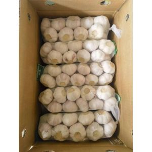 大蒜加工、出口 Garlic exporter