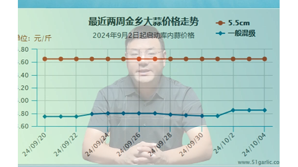 蒜價猛然上漲、能否再接再厲 (632播放)