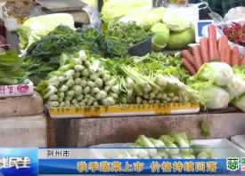 荊州：秋菜上市 價格下跌 ()