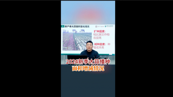 2024新季大蒜播種面積增減情況 (720播放)