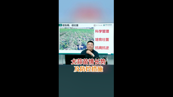 大蒜苗情長勢(shì)及防控措施 (633播放)