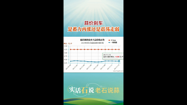 蒜價剎車是蓄力再漲還是震蕩走弱 (566播放)