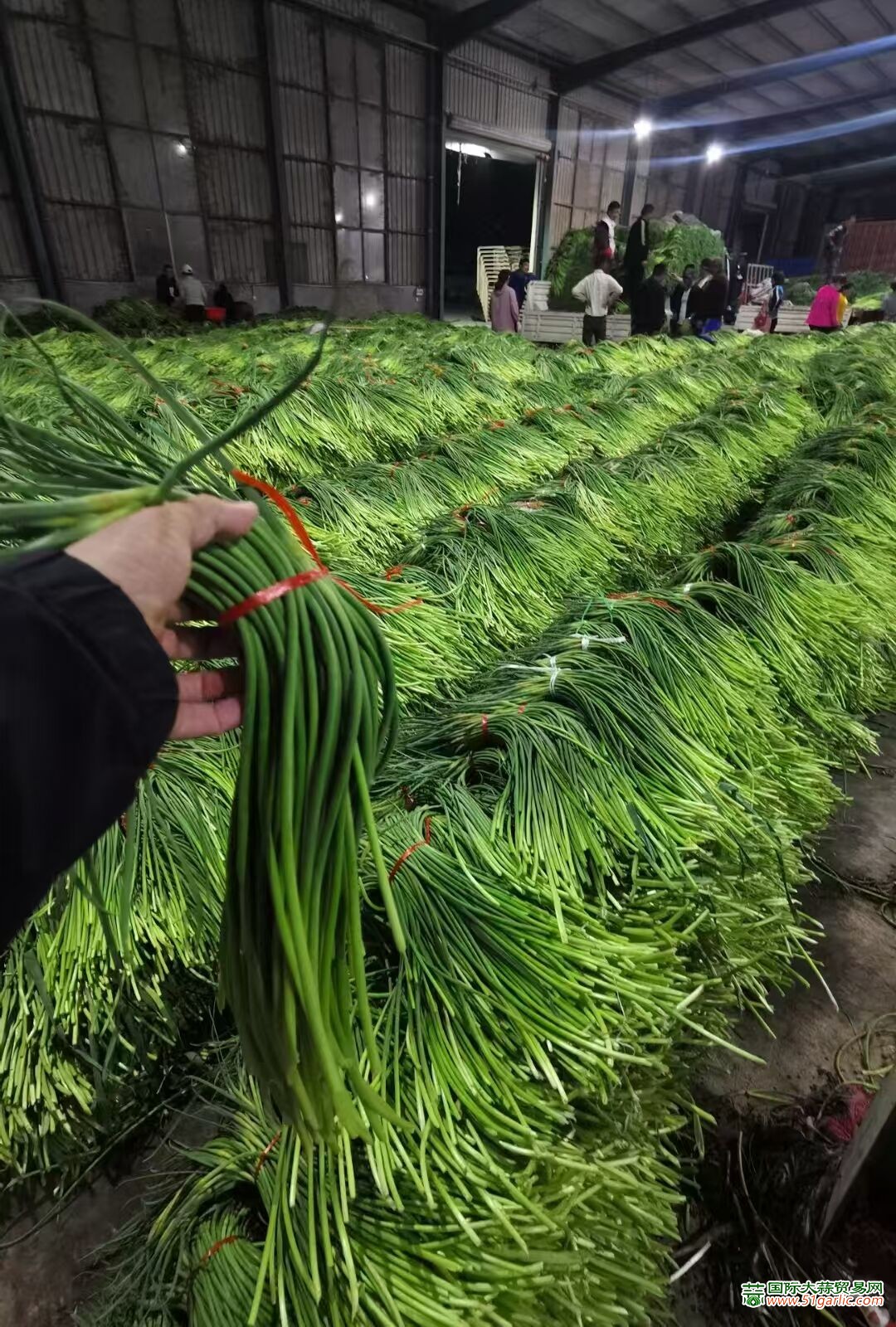 QQ圖片20250425152403