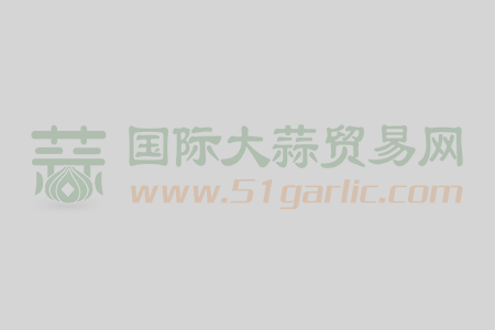 誠信代收代存聊城大蒜供貨量大